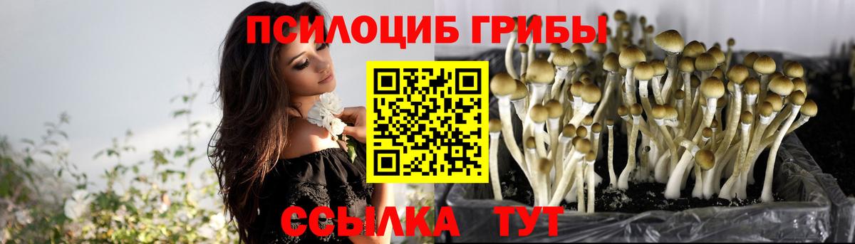 Псилоцибиновые грибы мицелий Элиста