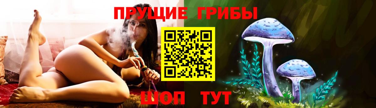 Элиста  Псилоцибиновые грибы GOLDEN TEACHER  Вход с VPN 